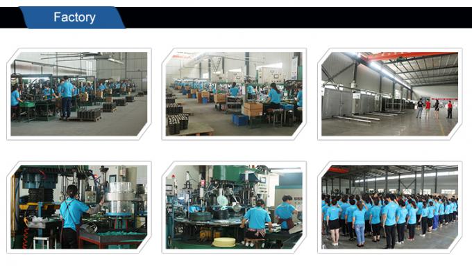 Rad Esicut versandendes China-Fabrikedelstahlrohr glänzendes reibendes kundengebundenes Polier300x25x36